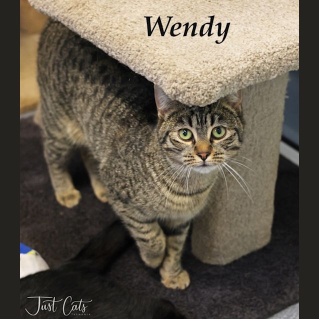 Photo of Wendy
