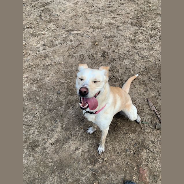 Photo of Harley