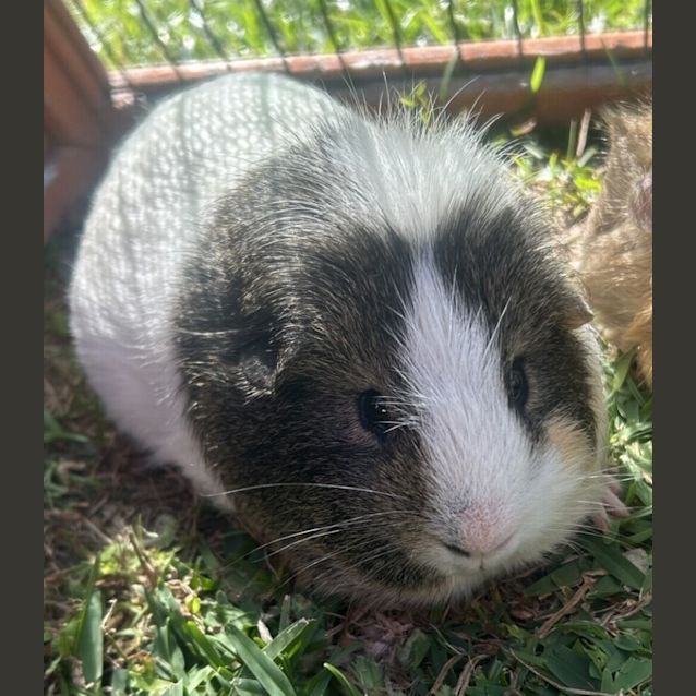 Photo of Craig