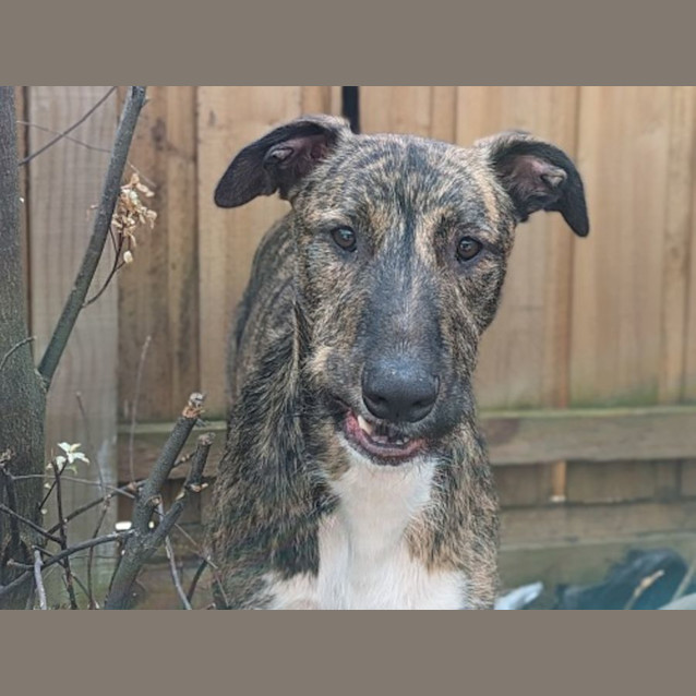 Photo of Murphy Tremayne