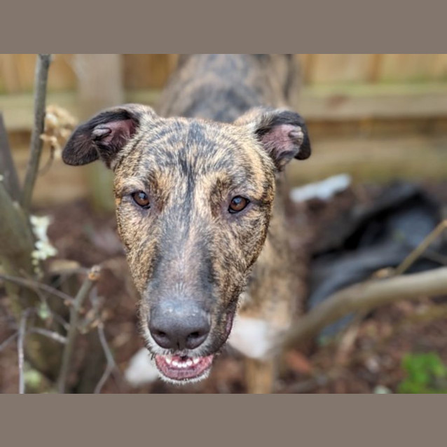 Photo of Murphy Tremayne