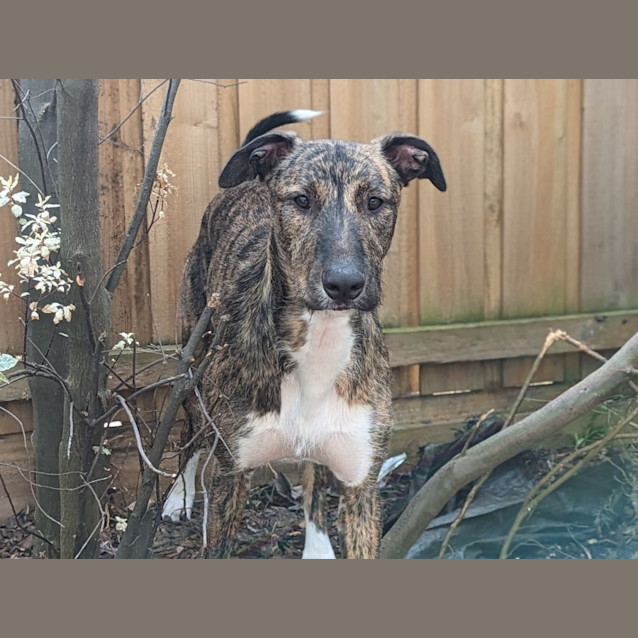 Photo of Murphy Tremayne