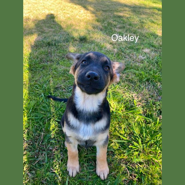 Photo of Awesome Foursome! 