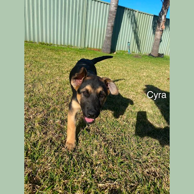 Photo of Awesome Foursome! 