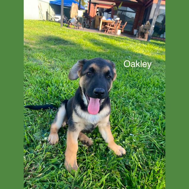 Photo of Awesome Foursome! 