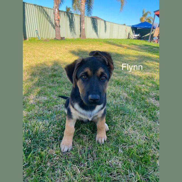 Photo of Awesome Foursome! 