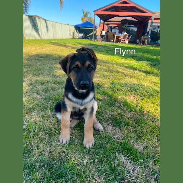 Photo of Awesome Foursome! 