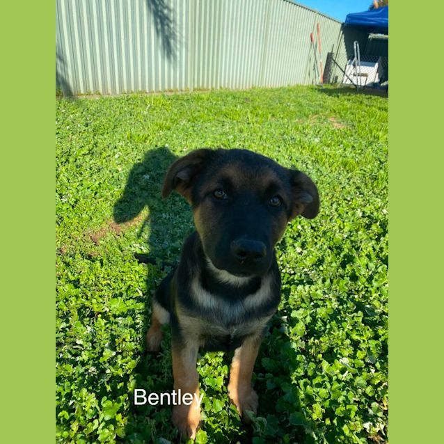 Photo of Awesome Foursome! 