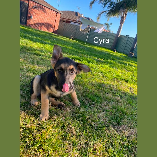 Photo of Awesome Foursome! 