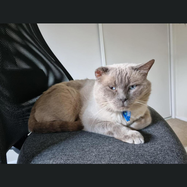 Photo of Hemingway