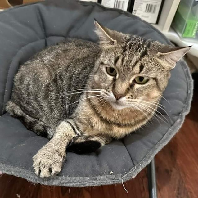 Photo of Jezzie