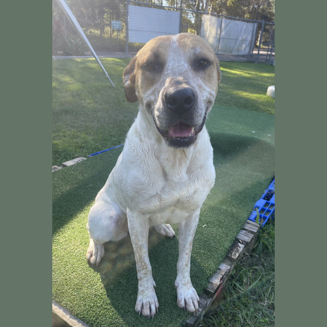 Photo of Daisy Mae