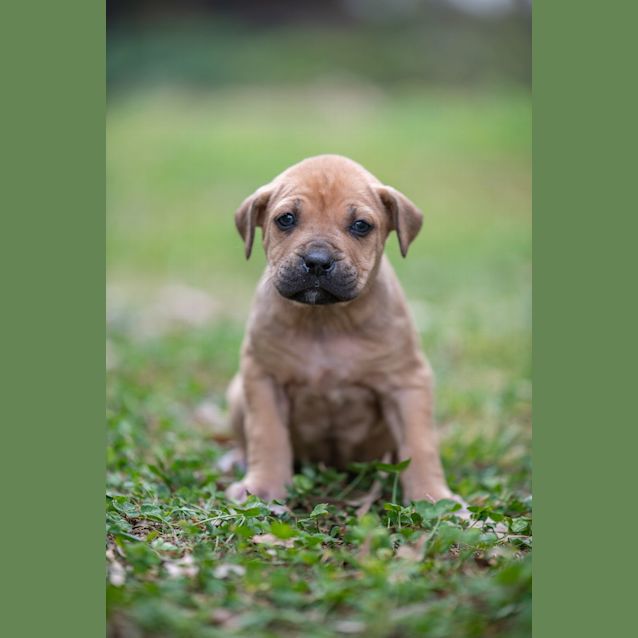 Photo of Kiara