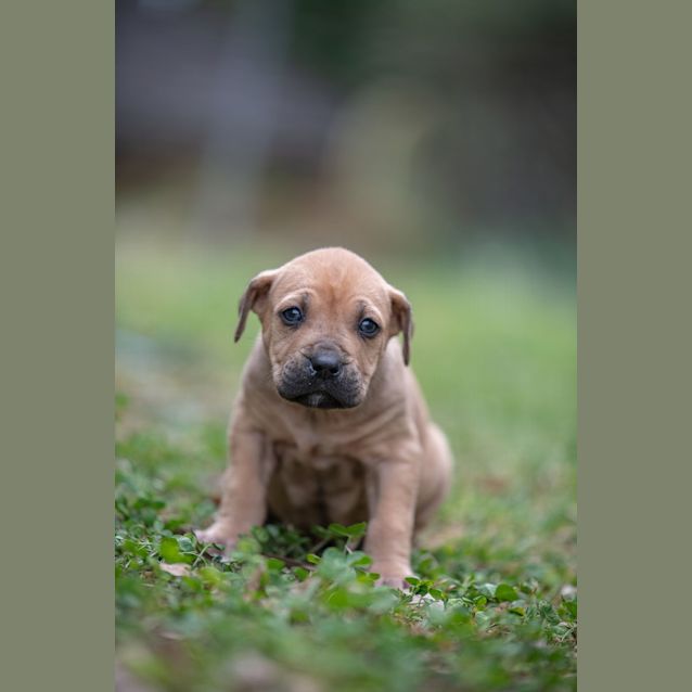 Photo of Kiara