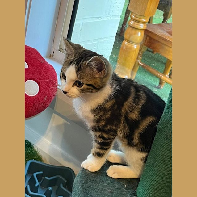 Photo of Indi And Willow