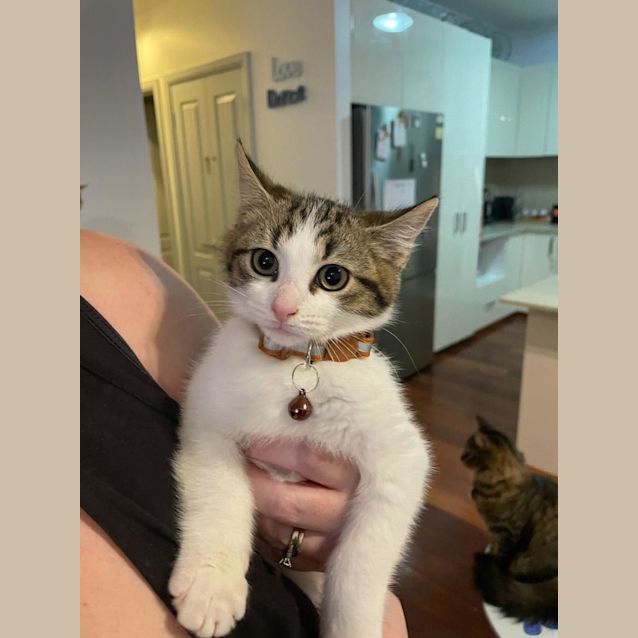 Photo of Indi And Willow