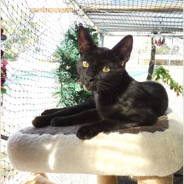 Photo of Mocha