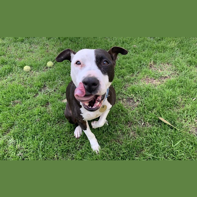 Photo of Lucy