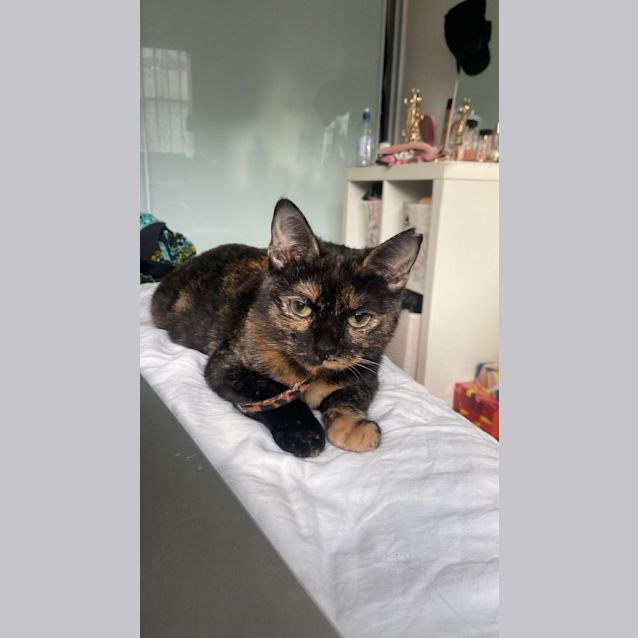 Photo of Marble