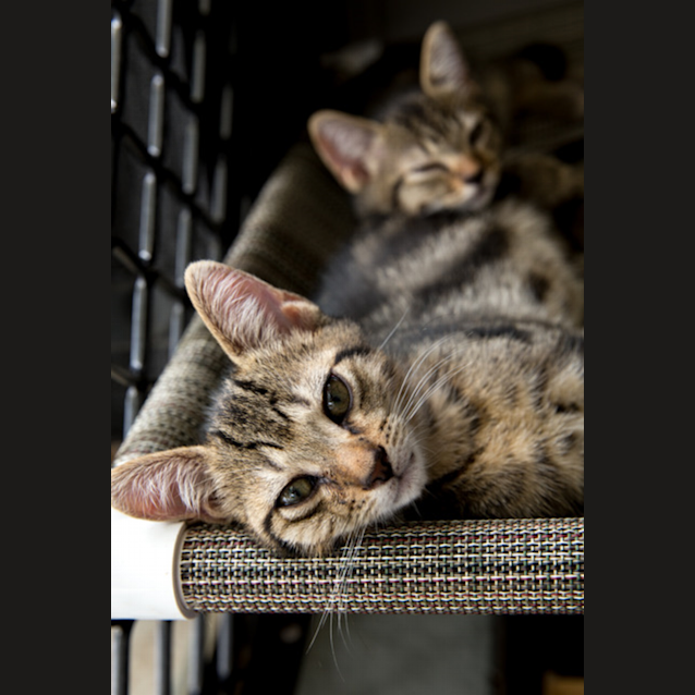 Photo of Baby 