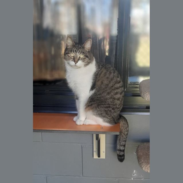 Photo of Pixie