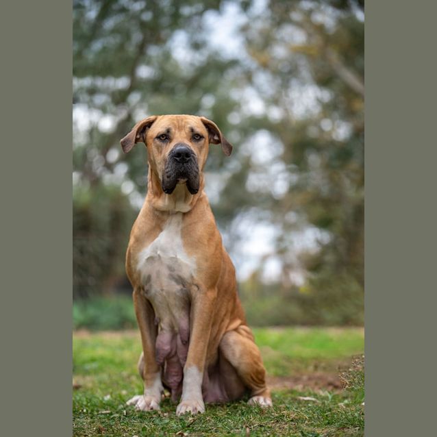 Photo of Kiara