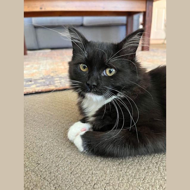 Photo of Fay