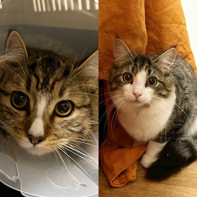 Photo of Daphy & Delilah 