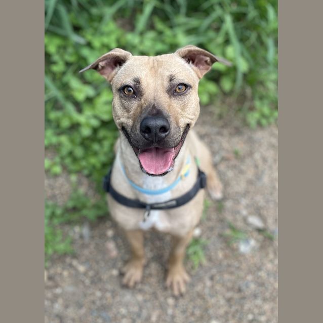 Photo of Coco