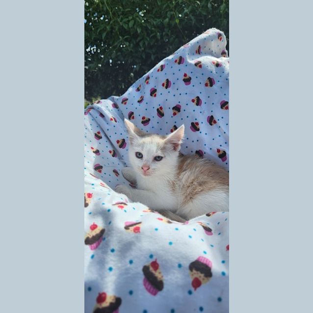 Photo of Sammy