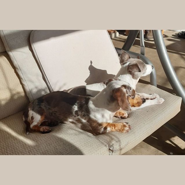 Photo of Reg