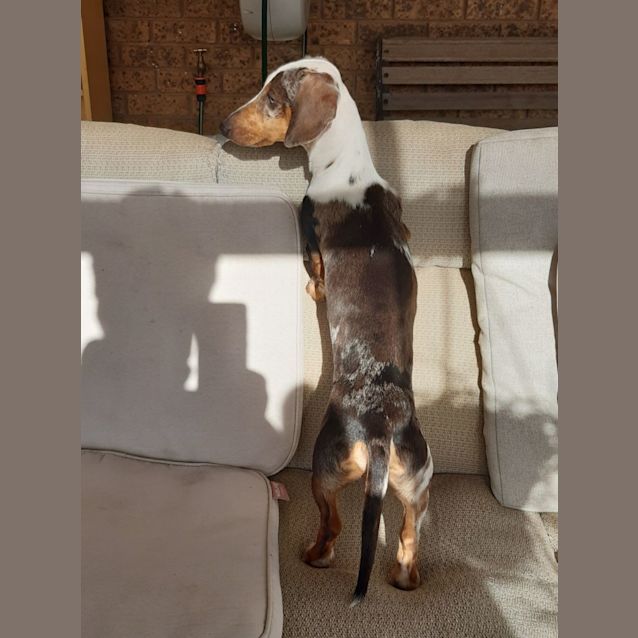 Photo of Reg