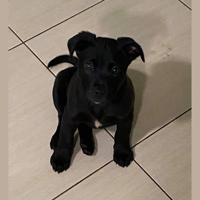 Photo of Betty