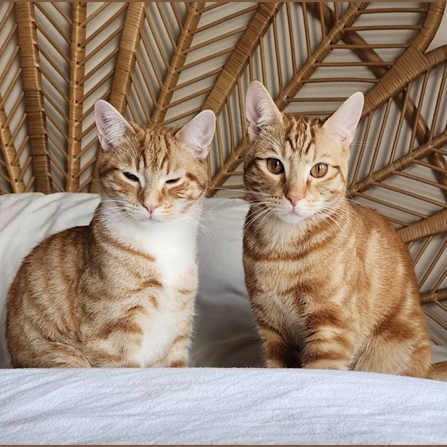 Photo of Oj And Ruben