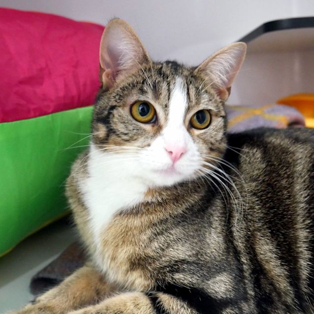 Photo of Willow Suk011460