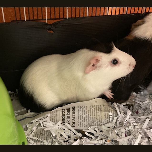 Photo of Lou Lou