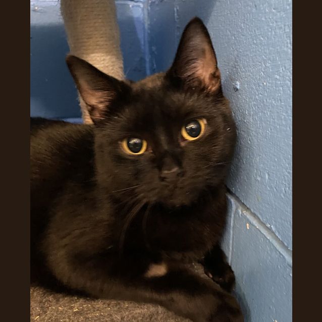 Photo of Luna