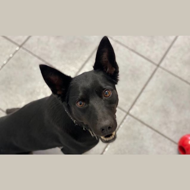 Photo of Betty