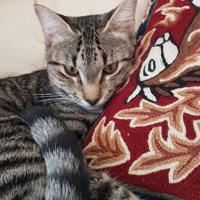 Photo of Molly