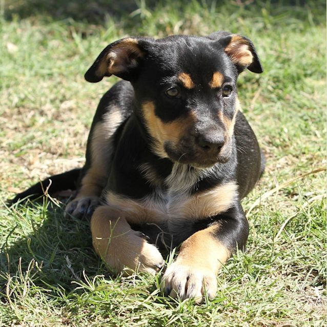 Photo of Zeus