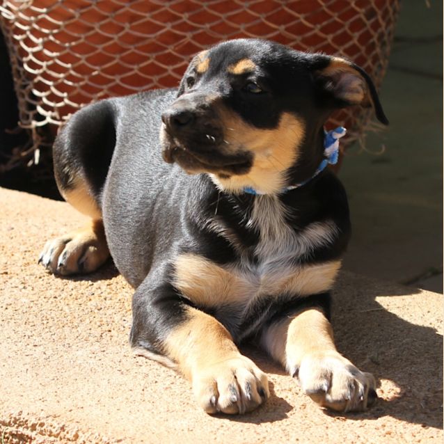 Photo of Zeus