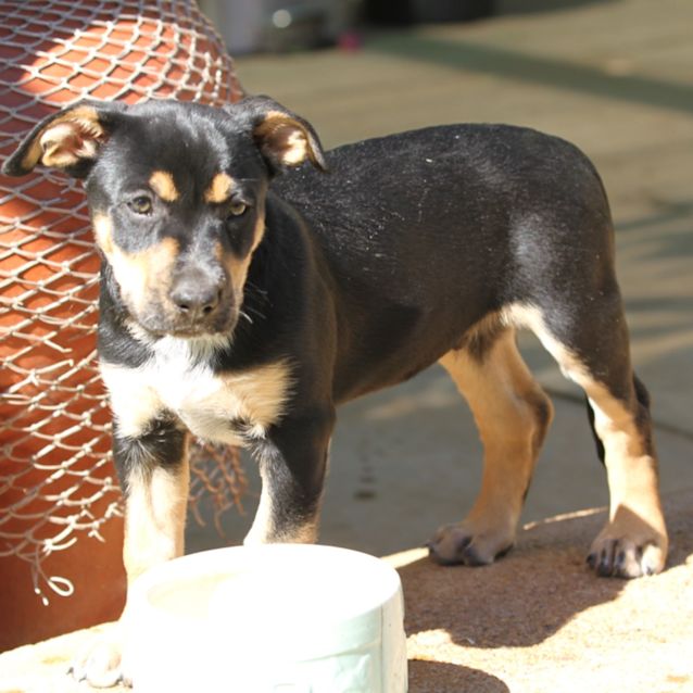 Photo of Zeus