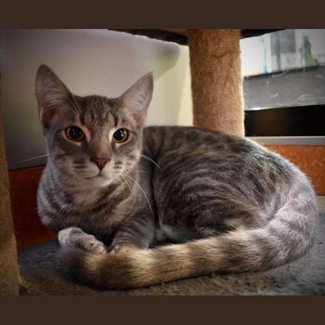 Photo of Brady