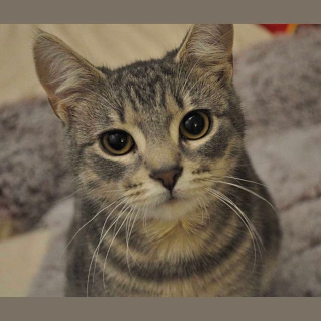 Photo of Lavender & Thumper 