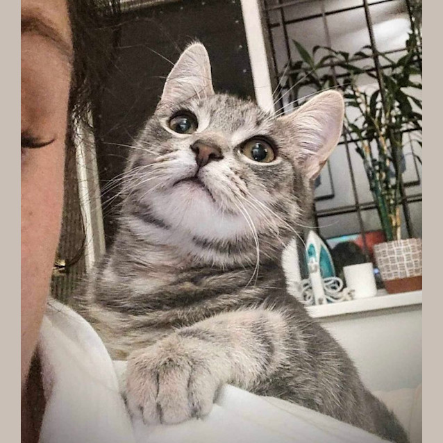 Photo of Lavender & Thumper 