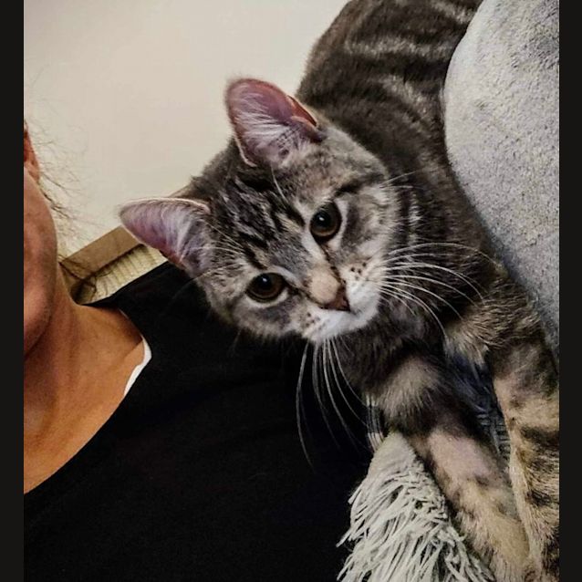 Photo of Lavender & Thumper 