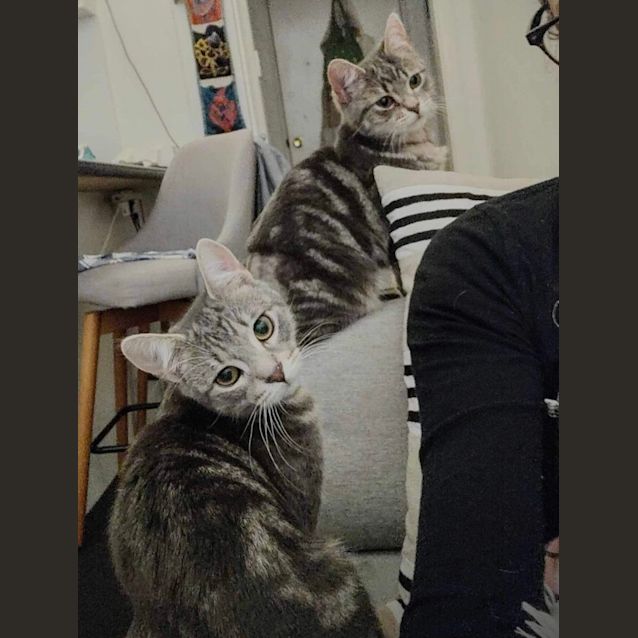 Photo of Lavender & Thumper 