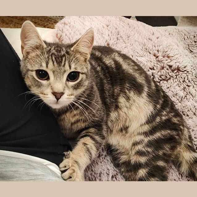 Photo of Lavender & Thumper 