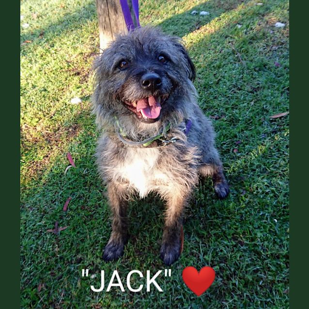 Photo of Jack