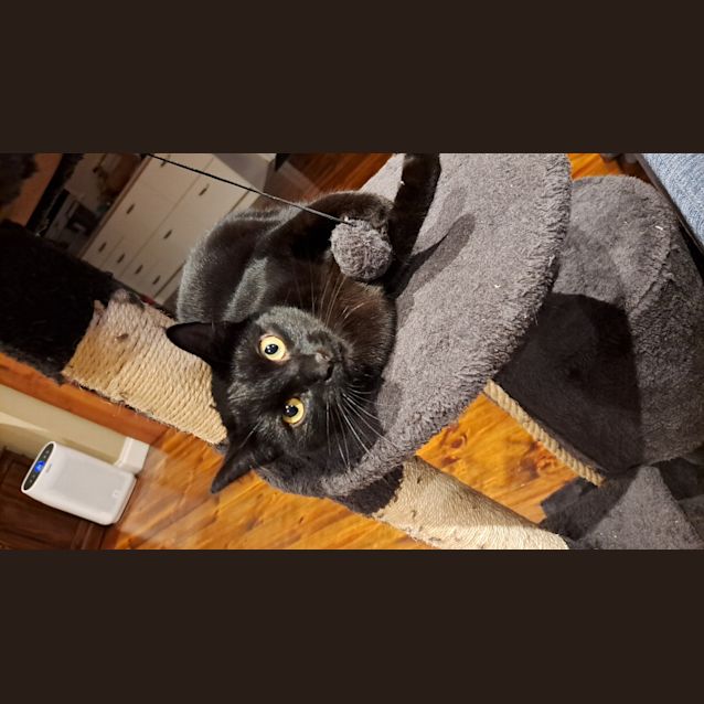Photo of Vader